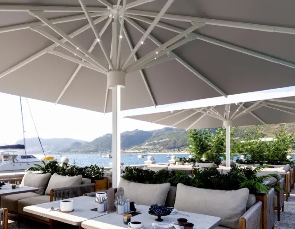 [300300] Parasol Plus